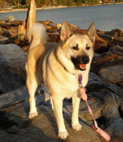 Sophie on beach